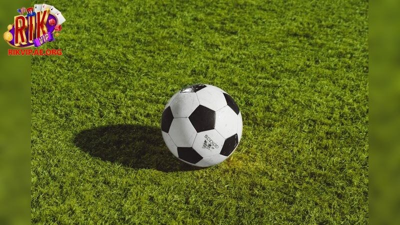 Cách Chọn Cổng Game Uy Tín