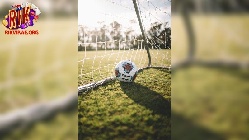 Chọn cổng game uy tín để cá cược