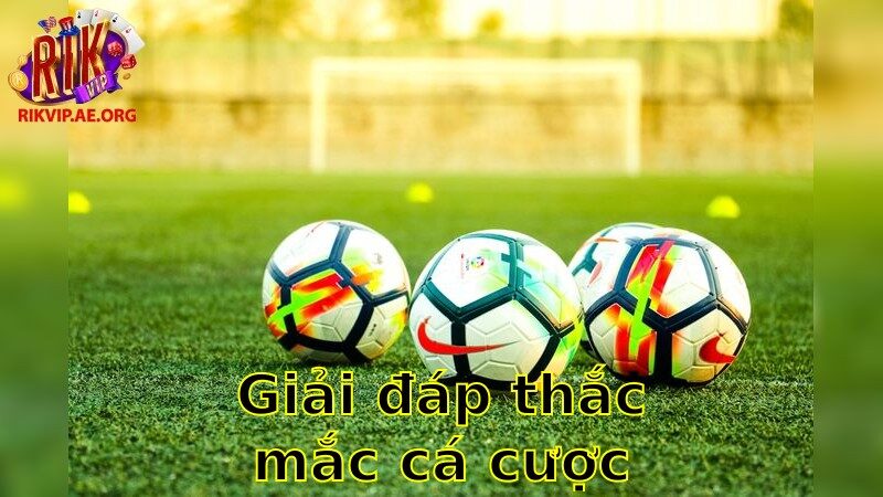 Giải Đáp Thắc Mắc Cá Cược Online – Tăng Cường Hiểu Biết Của Bạn 2025