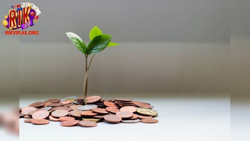 Hướng Dẫn Cài Đặt Game Bài Đổi Thưởng Trên Điện Thoại