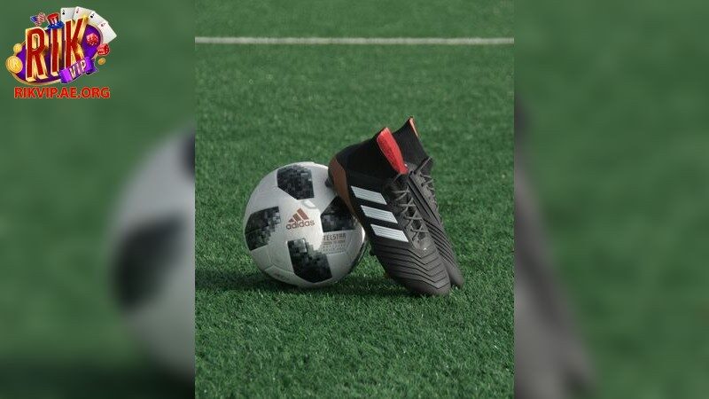 Khám Phá Thủ Thuật Cá Cược